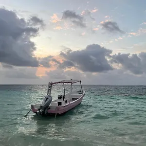 Maison d'hôtes Home's Jungle Puerto Morelos 20 Minutes From The Airport, Cancún